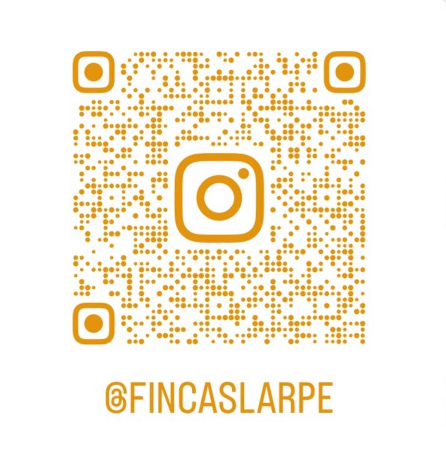 Instagram Fincas Larpe